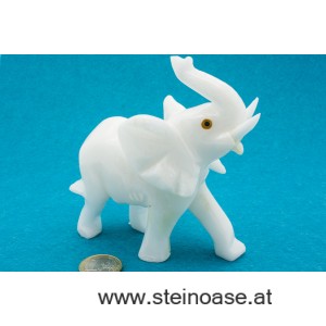 Elefant Selenit